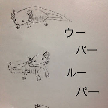 ウーパールーパー
