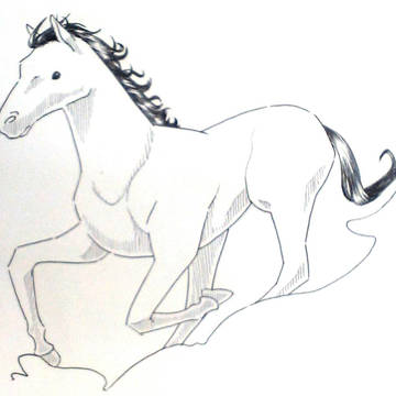 馬