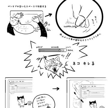 猫>人