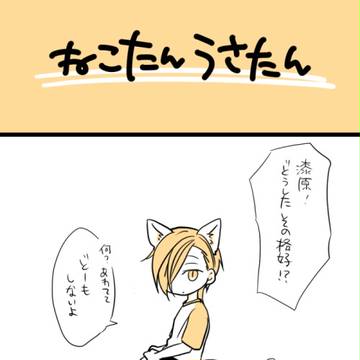 猫兎タン
