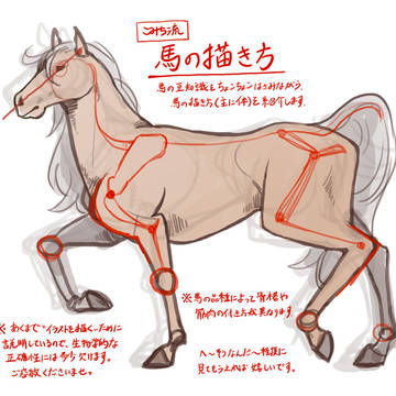 馬・子馬の描き方