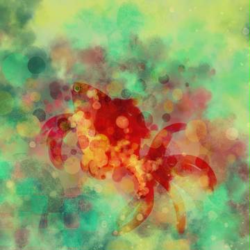 金魚