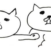 なんでやねん!