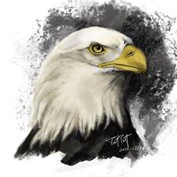 Falcon