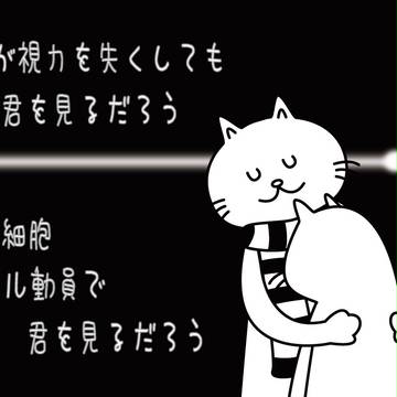Embrace