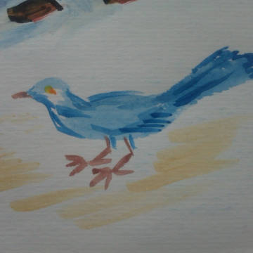 bird