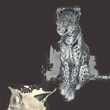 作品もろもろ