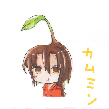 カムミン