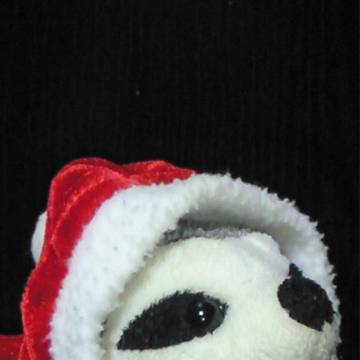 メリーナマケます