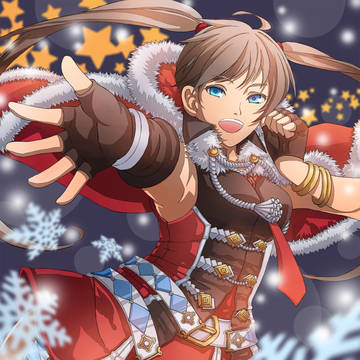 2013 MERRY CHRISTMAS