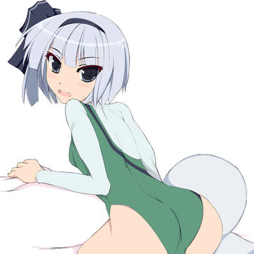 レオタ妖夢
