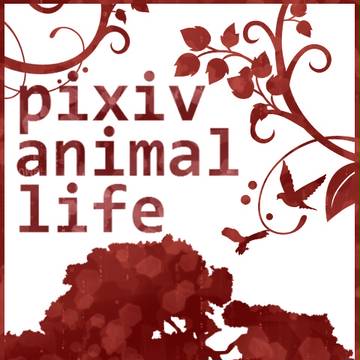 【PAL】表紙