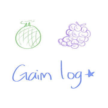 gaim log