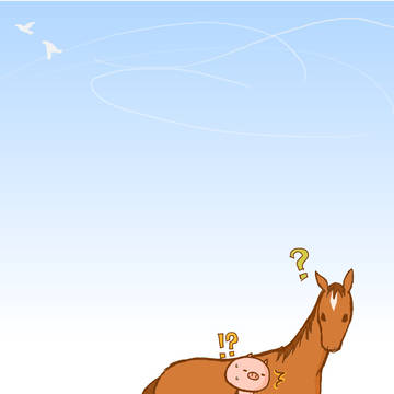 うまどしー