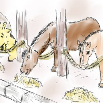 ウマウマノリンウマ