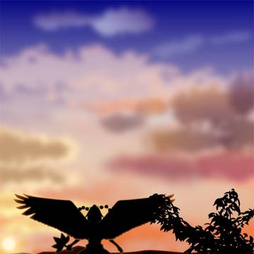 夕方２