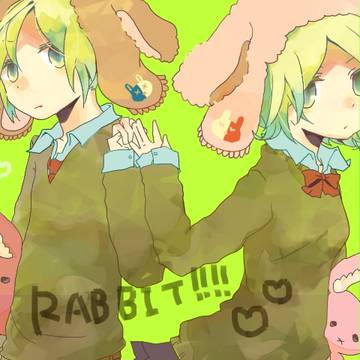 Rabbit!!!