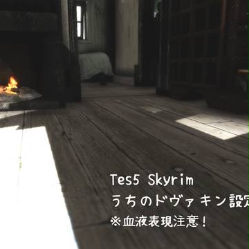 うちのドヴァキン 設定メモ