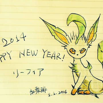 2014 Happy New Year