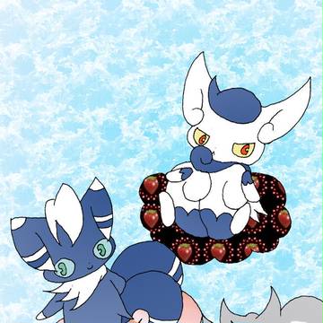 XYのネコ枠