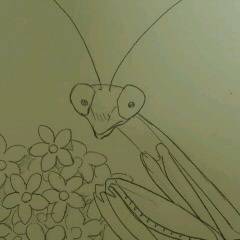 カマキリ