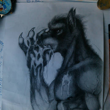 A lycan having pleasure