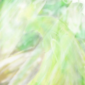 暇つぶし