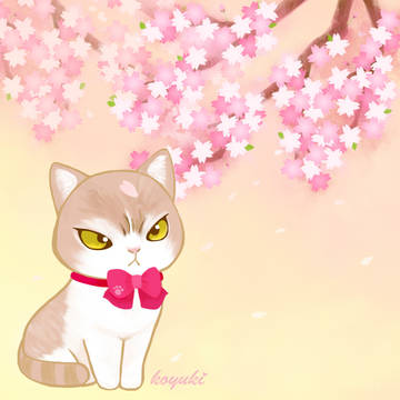 小雪ちゃんお花見にゆく