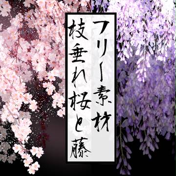 【フリー素材】＊桜と藤