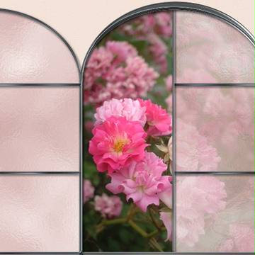 薔薇の窓