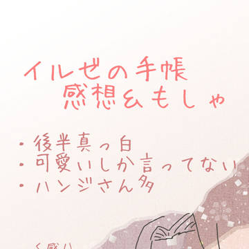 イルゼの手帳感想