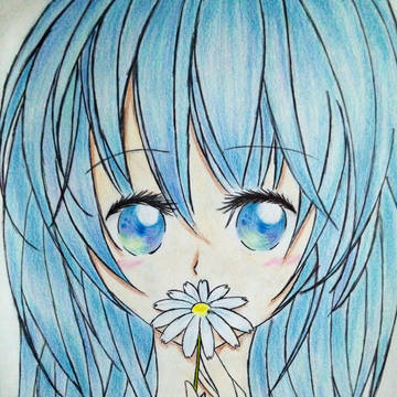 Blue daisy