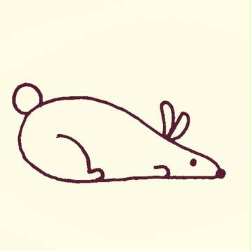 うさぎ