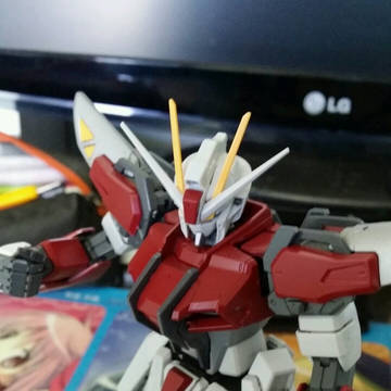 STRIKE GUNDAM FENICE