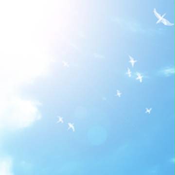 青空の下