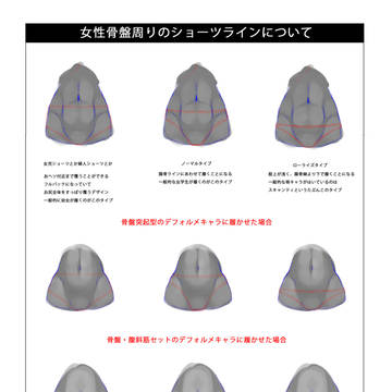 デフォルメにおける女性骨盤周りのショーツラインについて