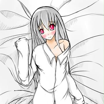 2014-1-23抱枕
