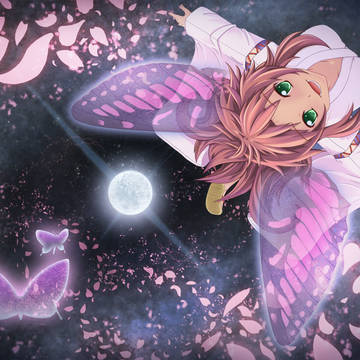 華蝶風月