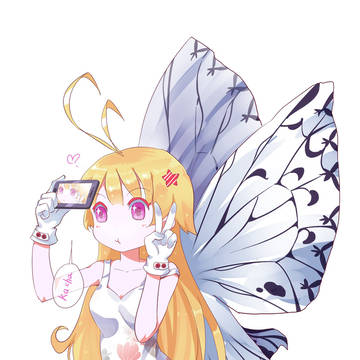 萌蝶