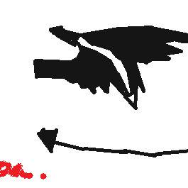 Koakuma wing fail.