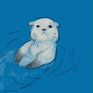 ラッコ様つめあわせ