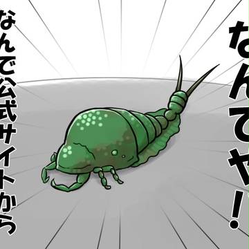 ショッキラス!!
