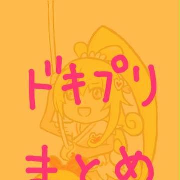 ドキプリまとめ