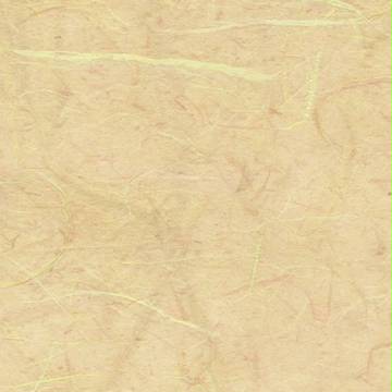 【天下泰平記】最終巻【公式報告書】