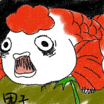 金鱼草