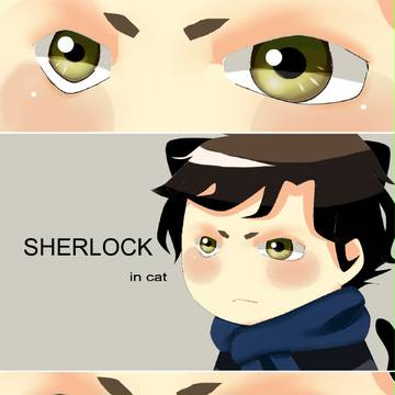 Sherlock in cat