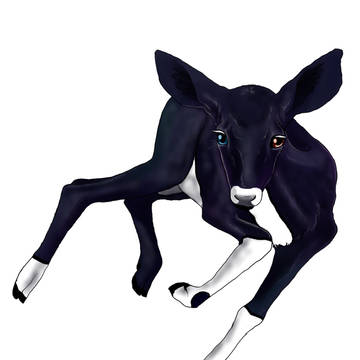 Narumi
