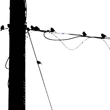 shadow