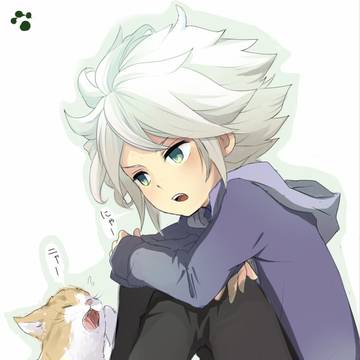 猫とガゼルさん