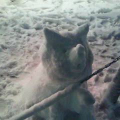 雪だるまEX